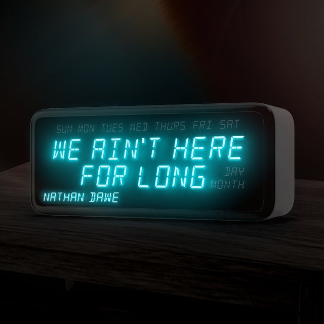 We Ain't Here For Long - Extended Mix album art