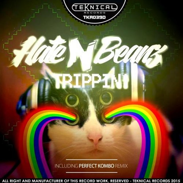 Trippin! - Perfect Kombo Remix album art