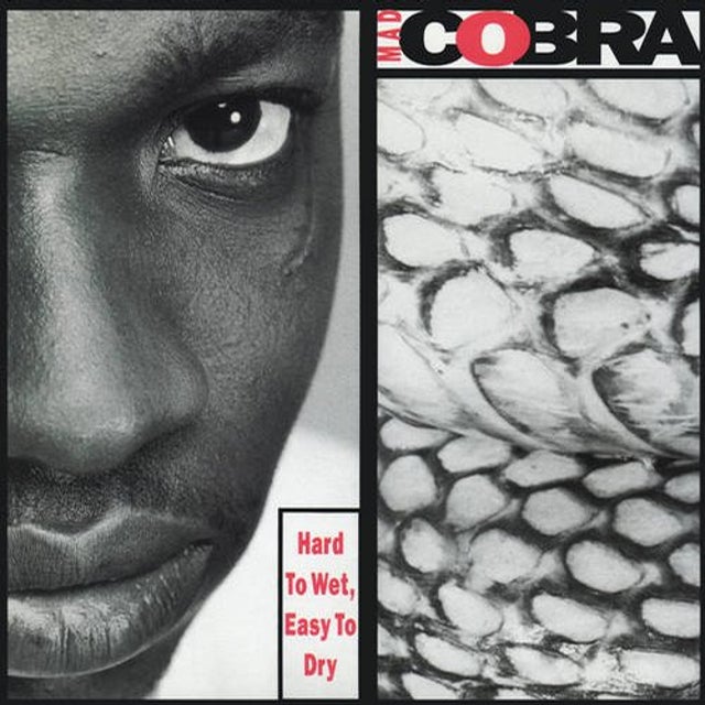 Flex album art
