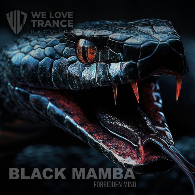 Black Mamba - Extended Mix album art