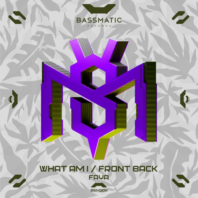 Front Back album art
