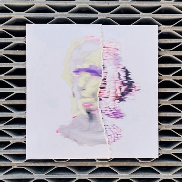 Disaster Protocol album art