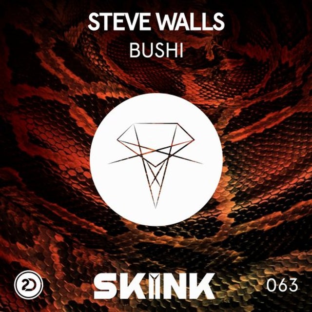 Bushi - Extended Mix album art