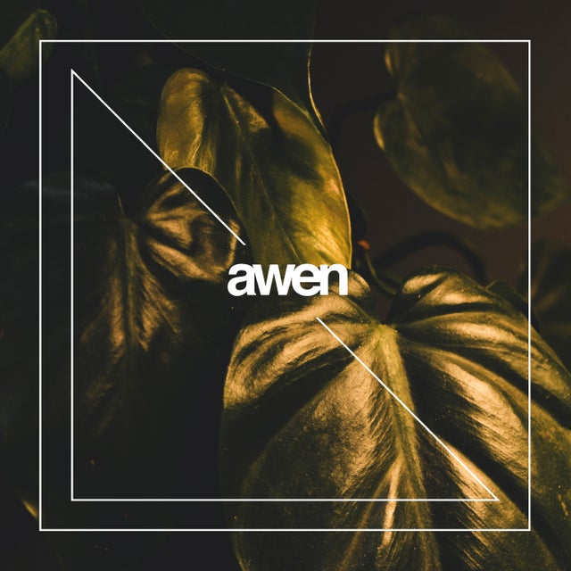 I'll Be Next to You album art