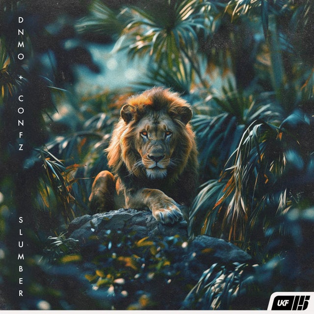 Slumber album art