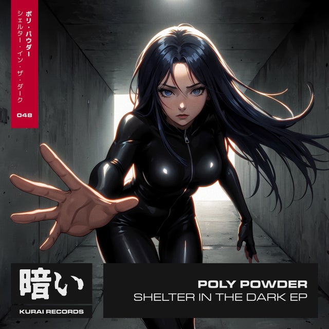 Shelter in the Dark - Extended Mix album art