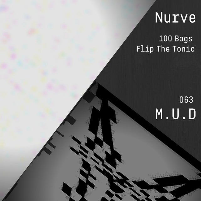 100 Bags album art