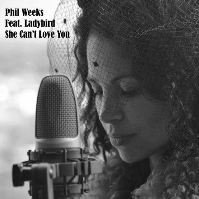 She Can't Love You album art