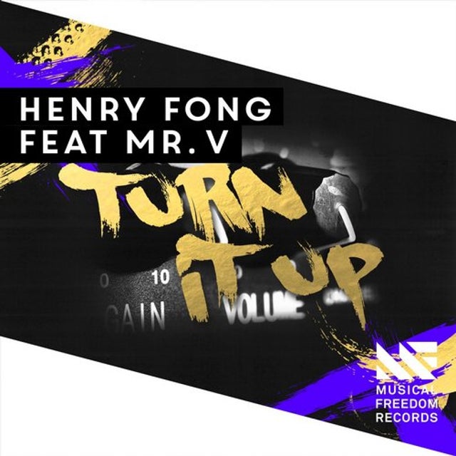 Turn It Up (feat. Mr. V) album art