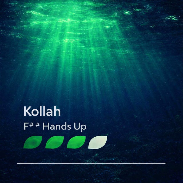 F## Hands Up album art