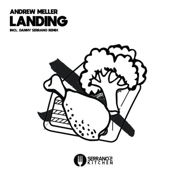 Landing - Danny Serrano Remix album art