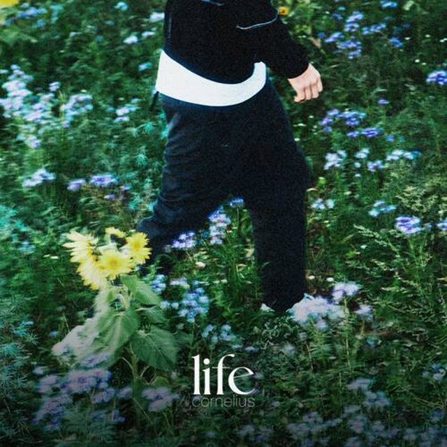 life album art