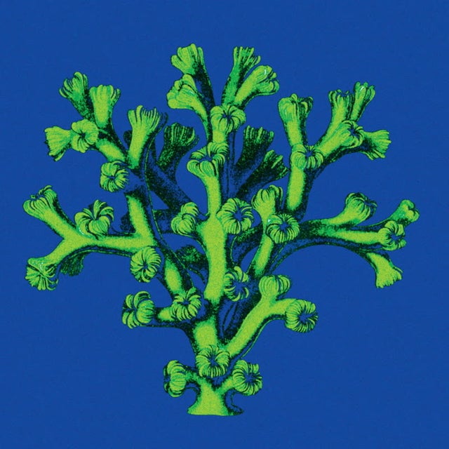 Gauzelastic album art