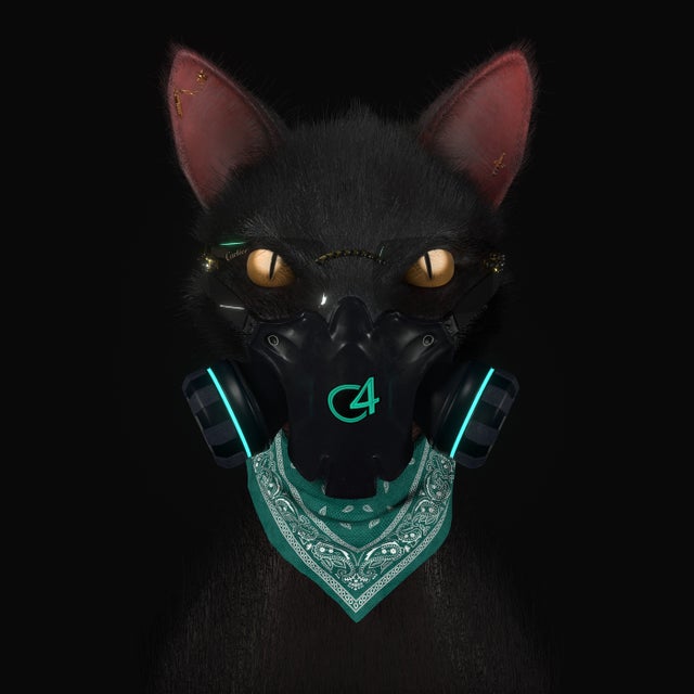 Gato de Noche album art