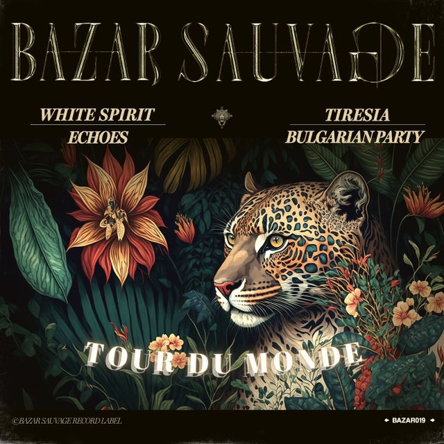 Echoes album art
