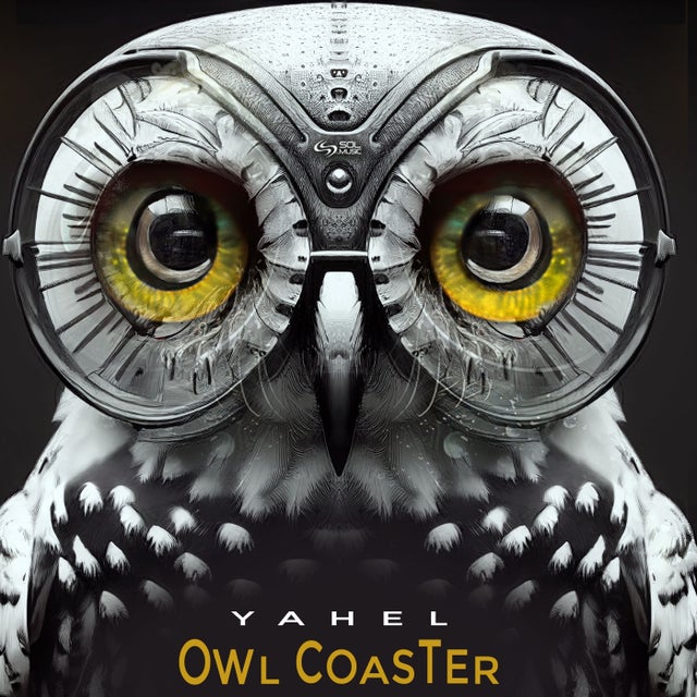 Owl Coaster album art