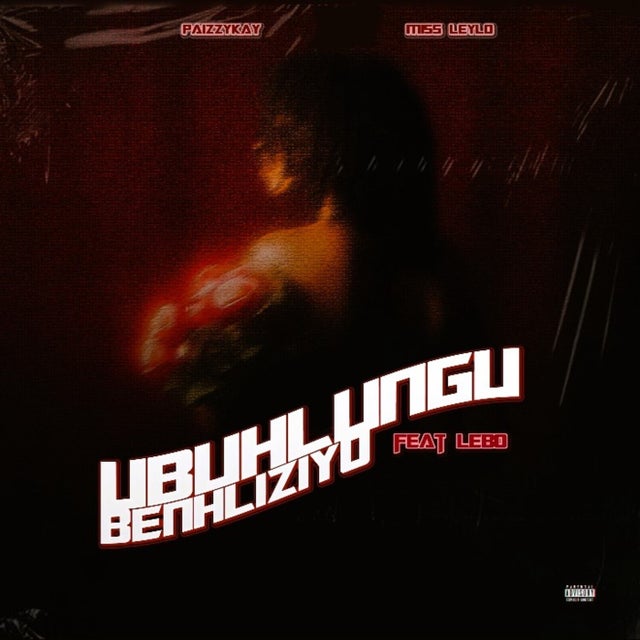 Ubuhlungu Benhliziyu (feat. Lebo) album art