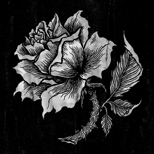 Black Tulip album art