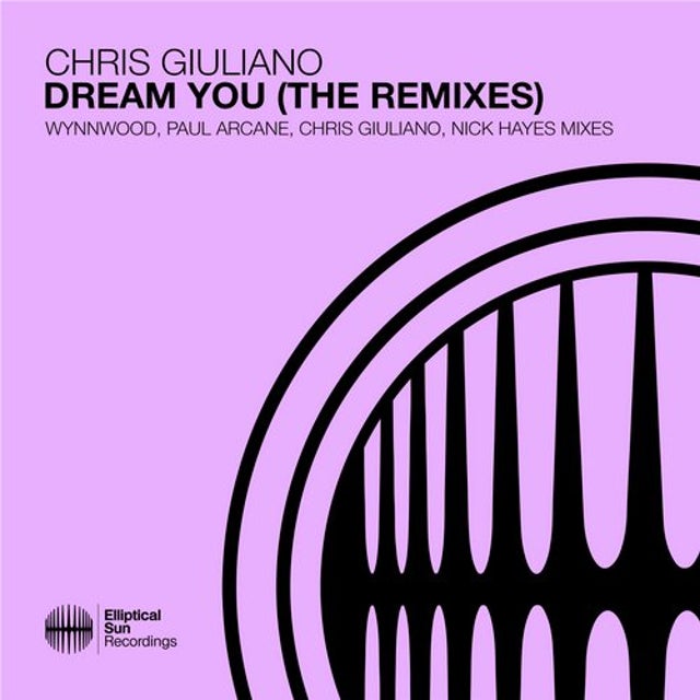 Dream You - Nick Hayes Extended Remix album art