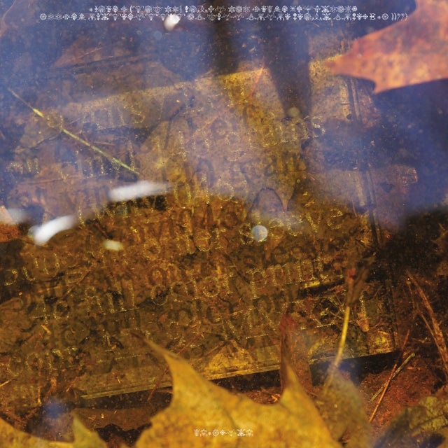 Every Weather album art