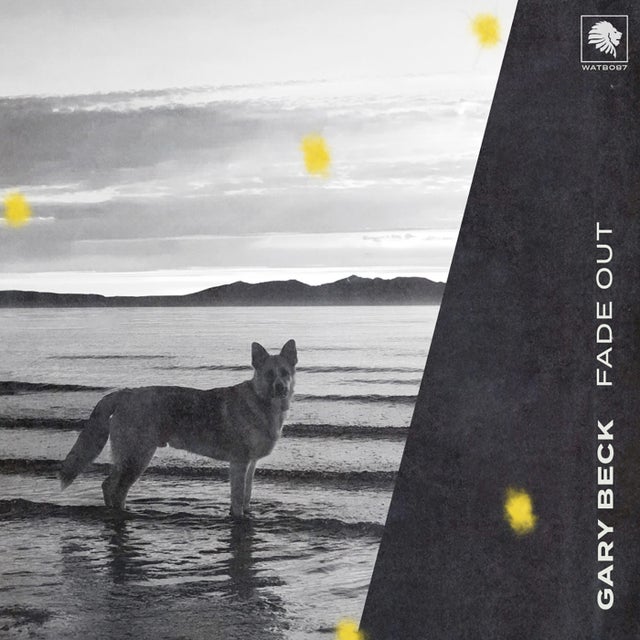 Fade Out album art