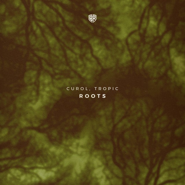Roots album art