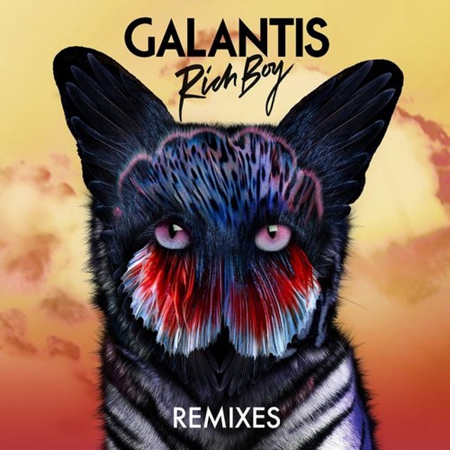 Rich Boy - Quintino Remix album art