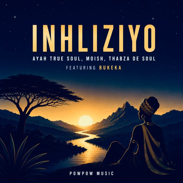 Inhliziyo album art