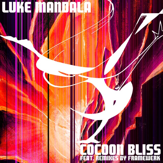 Cocoon Bliss - Framewerk Electro Mix album art