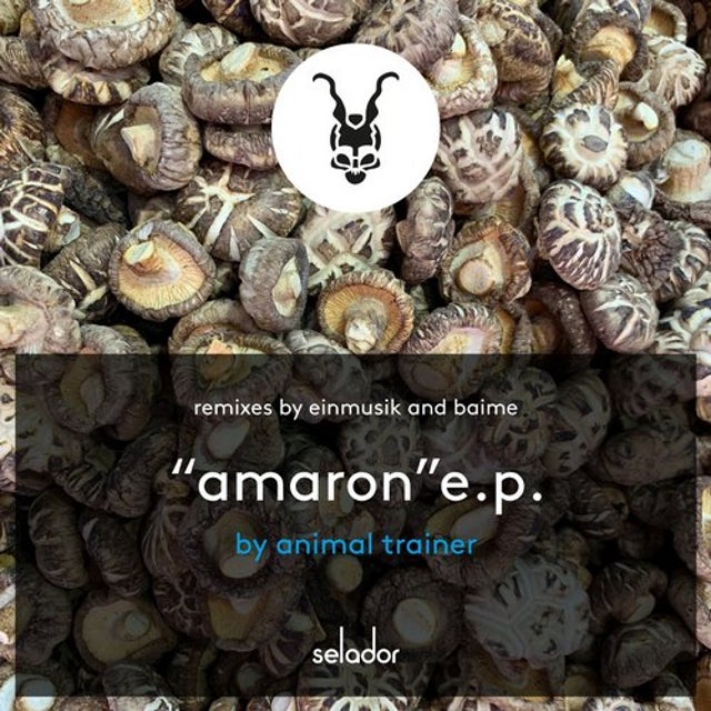 Amaron - Baime Remix album art