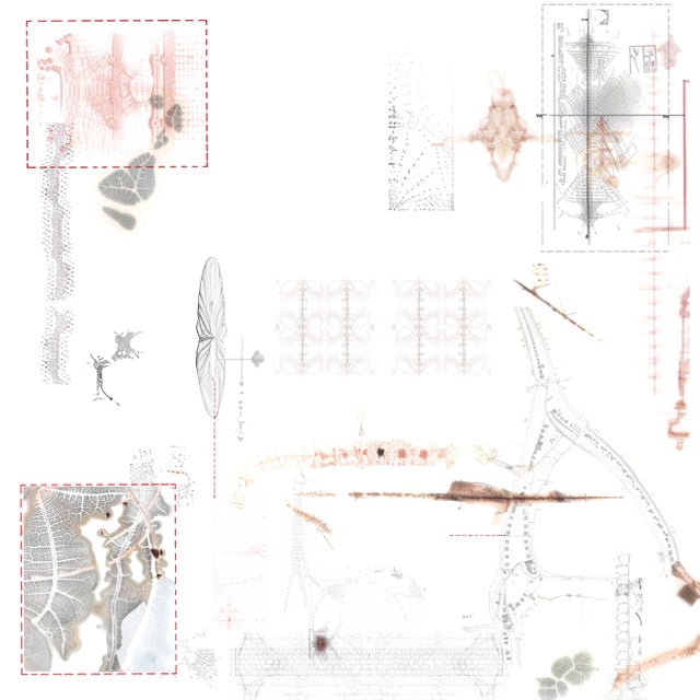 SPAN album art