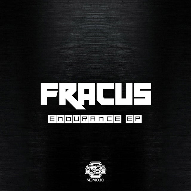 Endurance album art
