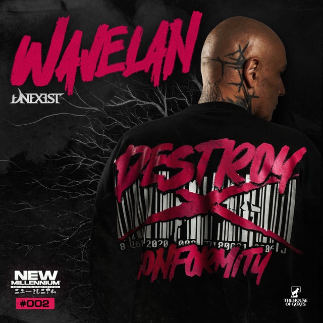 Wavelan - Extended album art