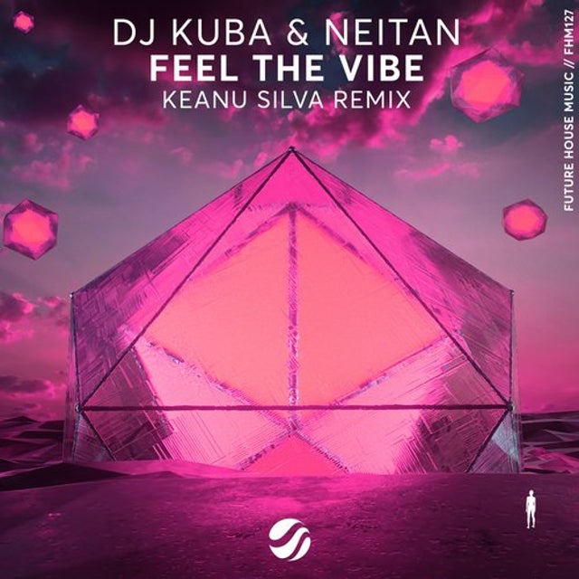 Feel The Vibe - Keanu Silva Remix album art