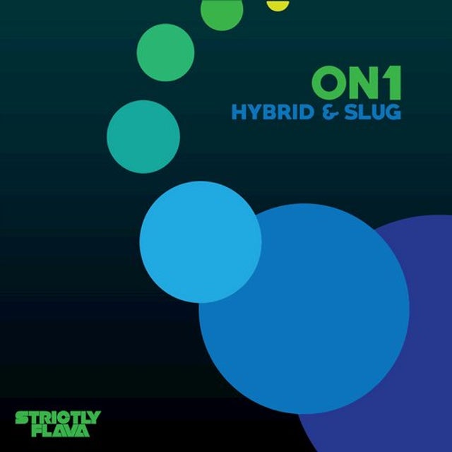 Hybrid album art