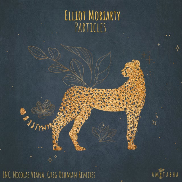Particles album art
