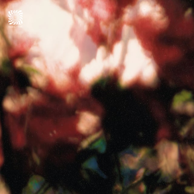 Peace is it in You ? album art