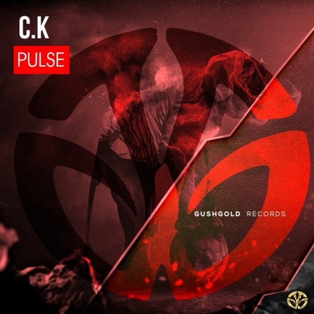 Pulse album art