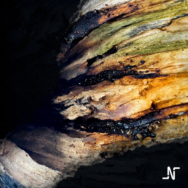 Respond album art