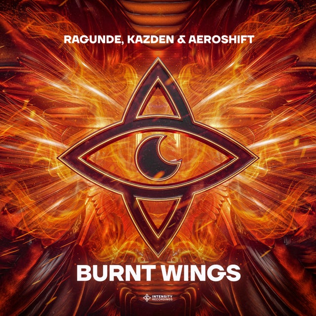 Burnt Wings - Extended Mix album art