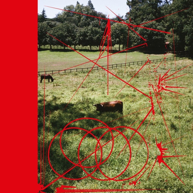Flatwound album art