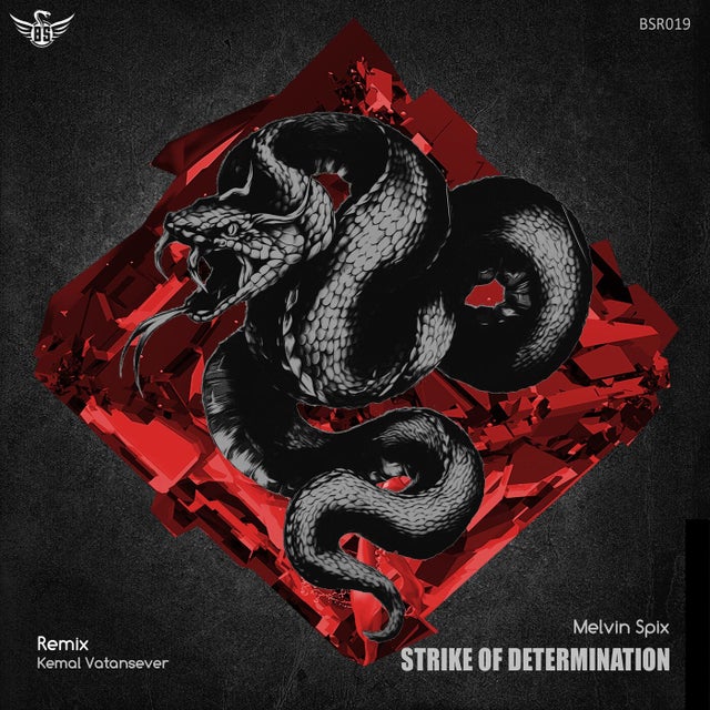 Strike of Determination album art