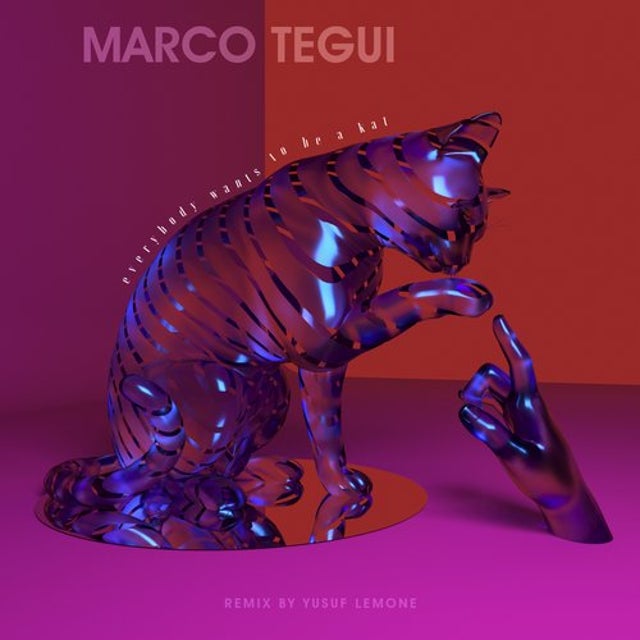 Everybody wants to be a kat - Yusuf Lemone Remix album art