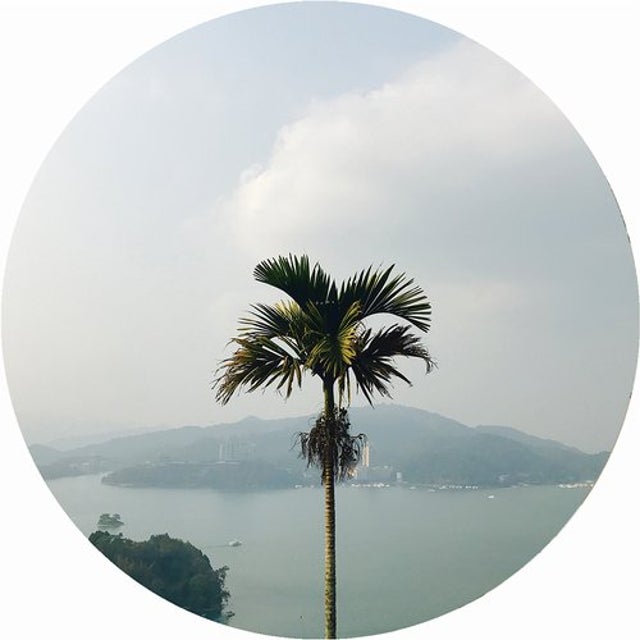 Ellesse album art