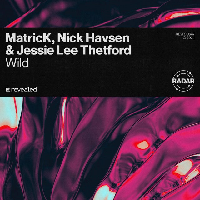 Wild - Extended Mix album art