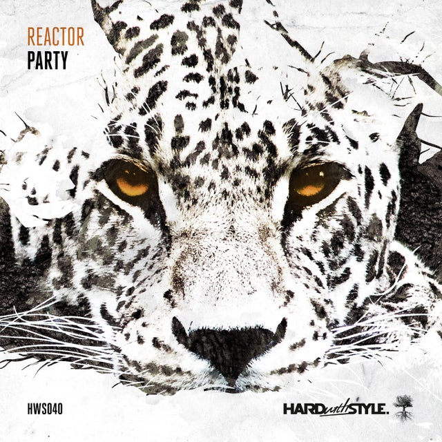 Party album art