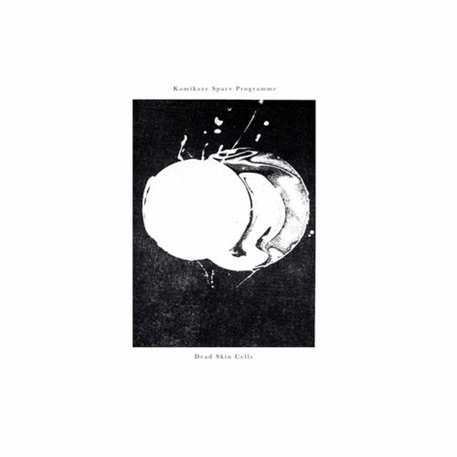 Dust album art