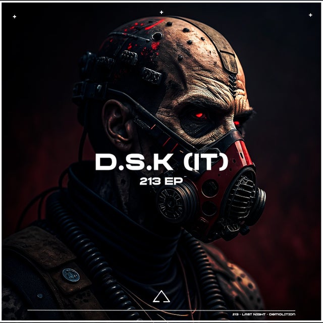 213 album art