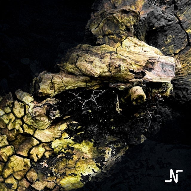 Serene album art