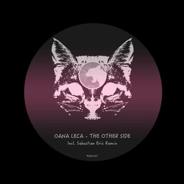 The Other Side - Sebastian Eric Remix album art